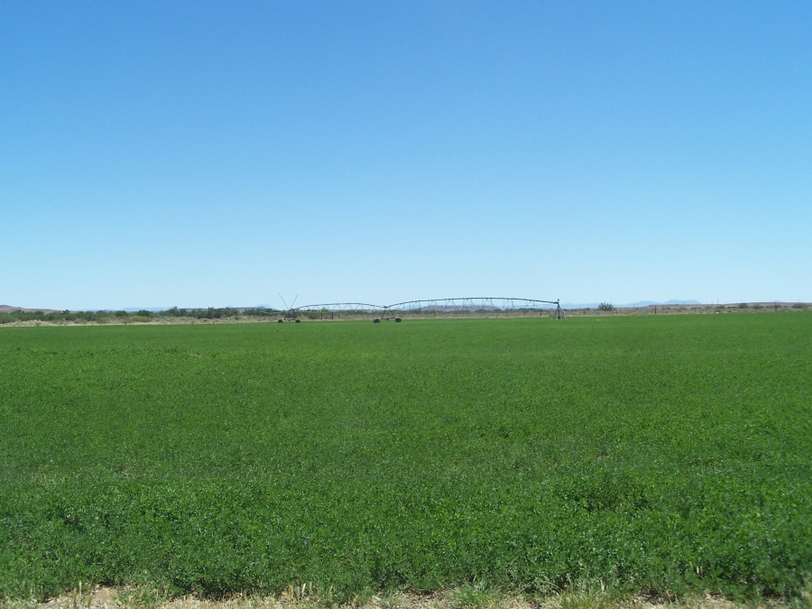 Commercial Property for Sale in Leeu Gamka Western Cape